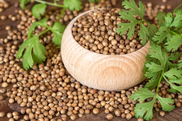 CORIANDER POWDER - Image 2
