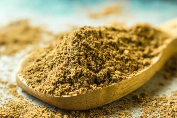 CORIANDER POWDER - Image 3