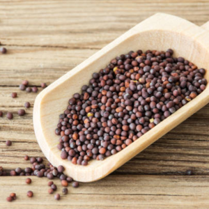SARSO (MUSTARD SEED)